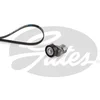 Image de Kit De Courroies D'accessoires Gates K046pk1098