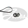 Image de Kit De Courroies D'accessoires Gates K056pk1183