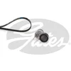 Image de Kit De Courroies D'accessoires Gates K066pk1453