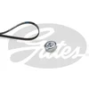 Image de Kit De Courroies D'accessoires Gates K066pk995