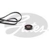 Image de Kit De Courroies D'accessoires Gates K124pk813
