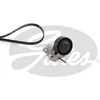 Image de Jeu De Courroies Trapézoïdales À Nervures Gates K026pk1000