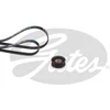 Image de Kit De Courroies D'accessoires Gates K026pk1249sf