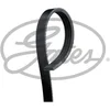 Image de Courroie D'accessoires Gates 4pk1165