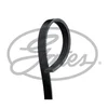 Image de Courroie D'accessoires Gates 4pk1483