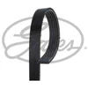 Image de Courroie D'accessoires Gates 5pk970