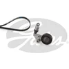 Image de Kit De Courroies D'accessoires Gates K016pk1903