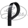 Image de Courroie D'accessoires Gates 8pk2093