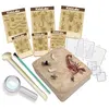 Image de Kit Découverte de la Science - Déterre Les Insectes