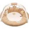 Image de Nattou, Tapis d'éveil + arche d'activité, Teddy Tapis d'éveil avec arches