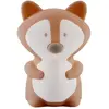 Image de Nattou, Veilleuse, Renard