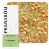 Image de Pranarôm Huile Essentielle Coriandre 10 ml