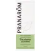 Image de Pranarôm Huile Essentielle Eucalyptus Citronné 10 ml