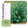 Image de Pranarôm Huile Essentielle Eucalyptus Globuleux 10 ml