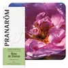 Image de Pranarôm Huile Essentielle Rose de Damas 2 ml
