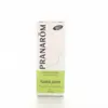 Image de Pranarôm Santal Jaune Bois 5 ml