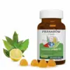 Image de Pranarôm Aromaforce Junior Gommes Immunité x 60