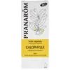 Image de Pranarôm Huile Végétale Calophylle Bio 50 ml