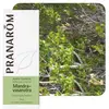 Image de Pranarôm Huile Essentielle Mandravasarotra 10 ml