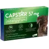 Image de Capstar 57 mg Chiens (plus 11 kg) x 6