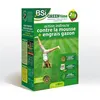 Image de Bsi - Engrais Gazon - Greentime - Fertiliser Le Gazon - Jusqu'A 40M² - 4Kg
