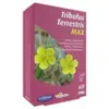 Image de Orthonat Tribulus Terrestris Max Fertilité For Men Gélules x 60