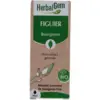 Image de HerbalGem Figuier Bio 30 ml