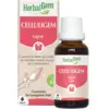 Image de Herbalgem Celluligem Bio 30 ml