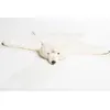 Image de Wild and Soft - Déguisement ours polaire