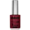 Image de Andreia Professional Hybrid Gel Vernis à ongles - Fusion Color H36 Rouge Silvestre en H36 Berry Red, 10.5ml