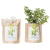 Image de Life in a Bag - kit bio prêt à pousser origan