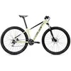 Image de Coluer Vtt Pragma 294 29´´ Altus 2025 L