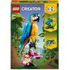 Image de LEGO 31136 Perroquet exotique (31136, LEGO Creator 3in1)