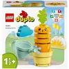 Image de LEGO 10981 Carotte en croissance (10981)
