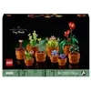 Image de LEGO® Icons 10329 Les Plantes Miniatures