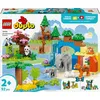 Image de LEGO® DUPLO® Town 10446 Familles d’animaux sauvages 3-en-1