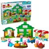 Image de Le jardin de Papy Pig et la serre