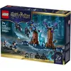 Image de LEGO Forêt interdite : Expecto Patronum (21593, LEGO Harry Potter)