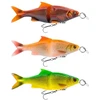 Image de Savage Gear Leurre Souple 3d Line Thru Glide Roach 170g 230 Mm