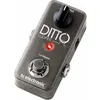 Image de TC Electronics Ditto Looper