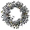 Image de Sirius, Couronne décorative, Couronne LED Alfi, vert avec neige, Ø 45 cm
