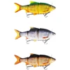 Image de Westin Glidebait Ricky The Roach Inline Sinking 58g 350 Mm