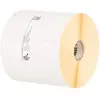Image de Zebra, Rouleau d’étiquettes, Z-Perform 1000D (76.20 mm)