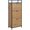 Image de AC Design, Armoire à chaussures, Meuble à chaussures Seaford (56 x 30 x 129 cm)