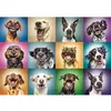 Image de Puzzle 1000 pièces : Portraits de chiens rigolos Trefl