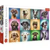 Image de Trefl Puzzle 1000 pc (1000 pièces)