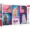 Image de Trefl Super chats (1000 pièces)