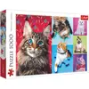 Image de Trefl Des chats amusants (1000 pièces)