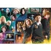 Image de Puzzle 1000 pièces : Harry Potter - Le Monde des Sorciers Trefl