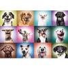 Image de Puzzle 1000 pièces : Unlimited Fit Technology : Têtes de chiens amusants Trefl Prime